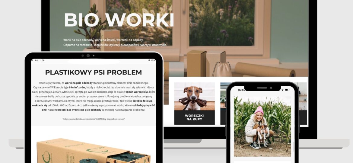 Projektowanie sklepów internetowych z systemem płatności Szczecin
