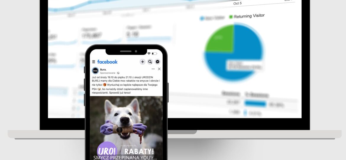 Pozycjonowanie stron internetowych Szczecin. Analiza SEO. Pozycjonowanie sklepu internetowego