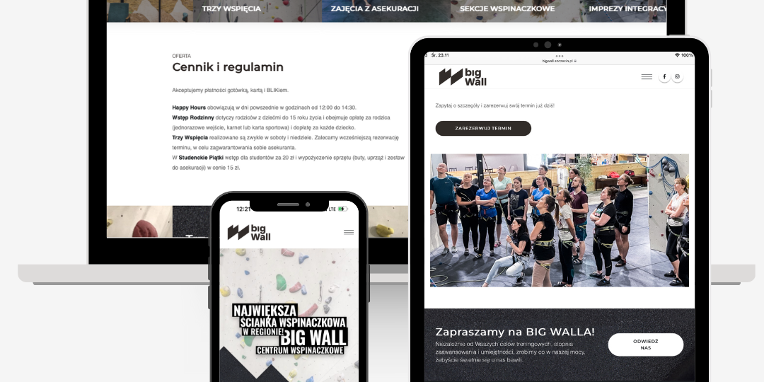 projektowanie stron internetowych szczecin, tworzenie www
