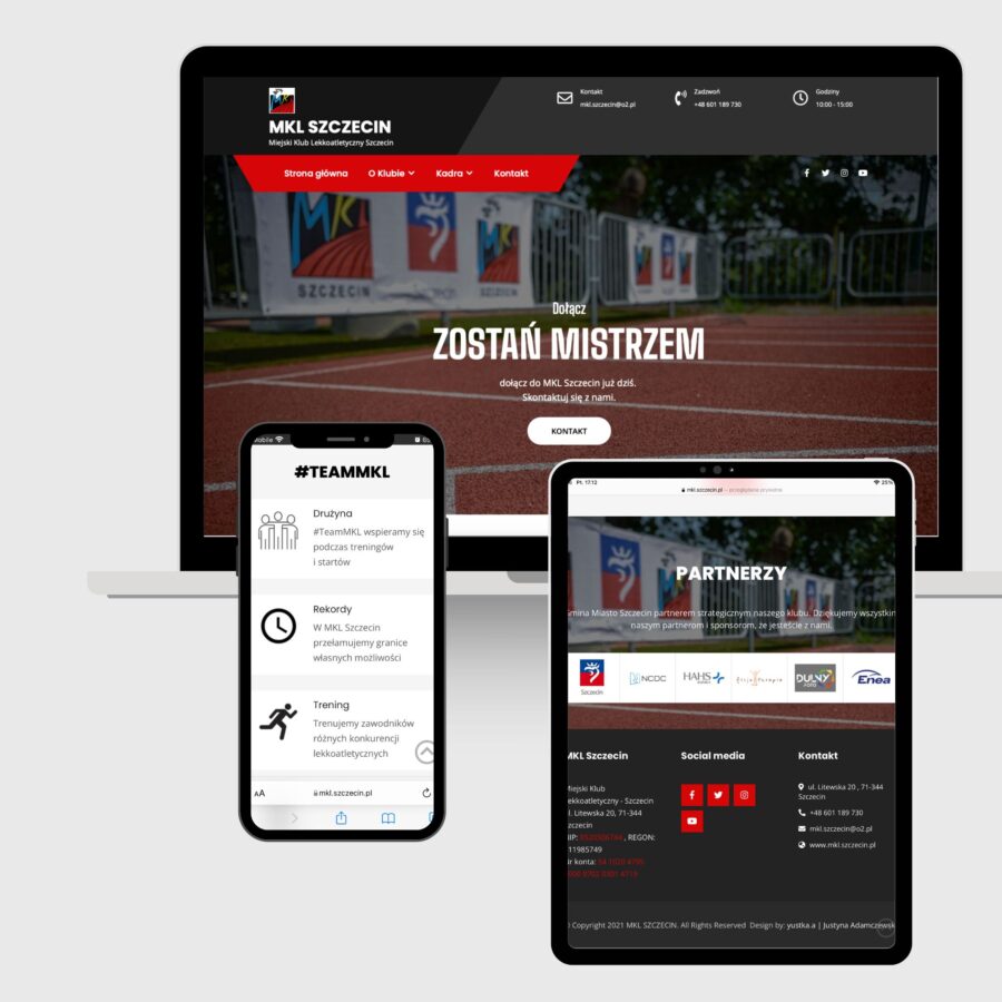 strony internetowe projektowanie Szczecin