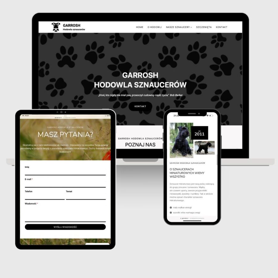 projektowanie-stron-www-yaa-marketing-szczecin