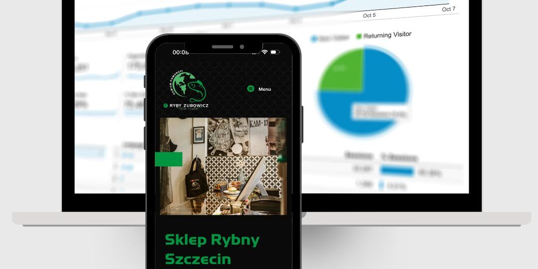 Pozycjonowanie stron internetowych Szczecin, Kamień Pomorski