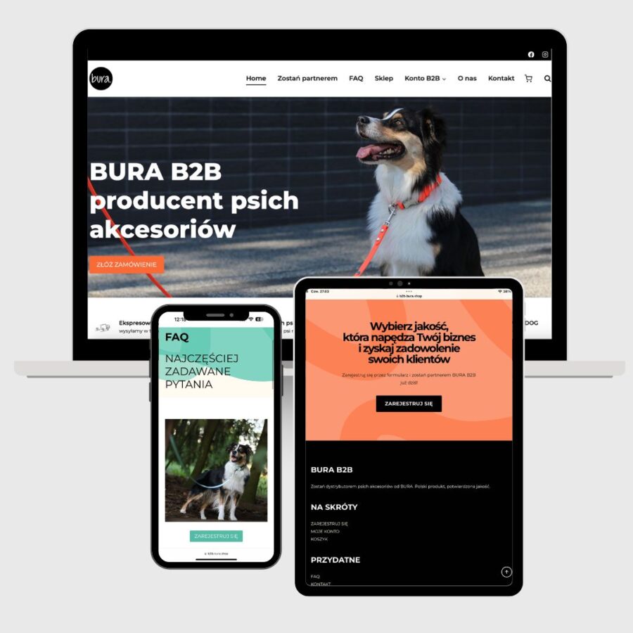 projektowanie-stron-internetowych-szczecin-portfolio-17